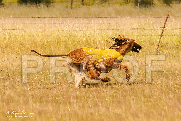 _MJ_5410-AfgBeltonOct2014-HR3