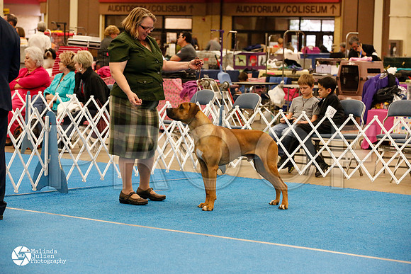 RHOD-0305-FWMar14-HR