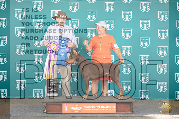 Doberman Pinscher #425 Fri BOB G1 BIS Judge Alan Krenek__JP_1236_Longview WA_2024_HR3