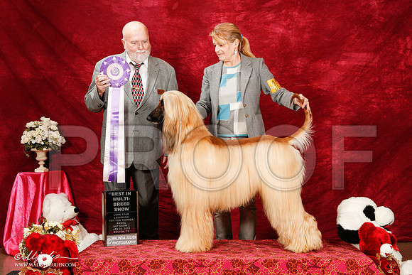_ST_2291-2-BeltonJan2015-HR3