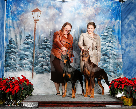 _ST_9118-2-DallasDec2014-HR3