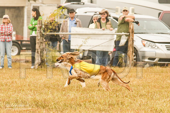 _MJ_3376-AfgBeltonOct2014-HR3