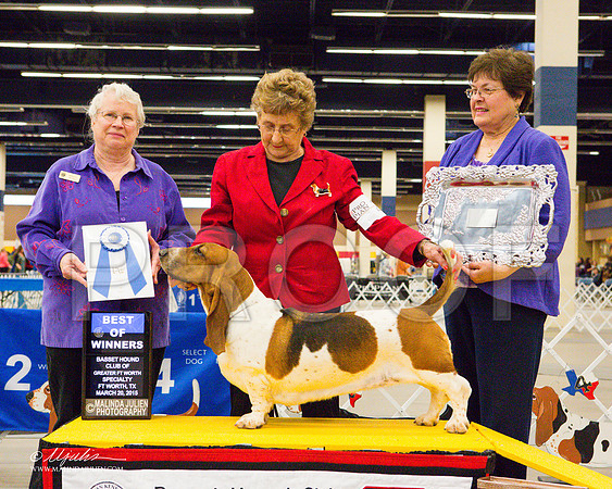 _M3_2095-2-AddisonHuskyMar2015-HR3