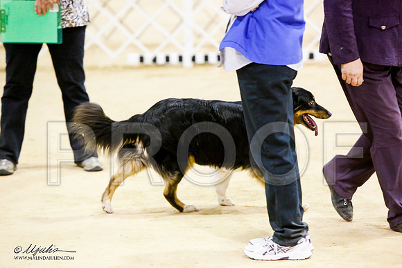 _JN_7590-ASCACollegeStationNov2014-HR3