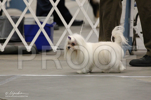 IMG_7924-Abilene2011-HR3