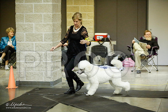 _JJ_5673-BeltonJan2015IABCA-HR3