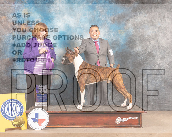 Boxer #17 Fri WD Judge Ann Gilbert-MMJ_7710-FW2022-HR3