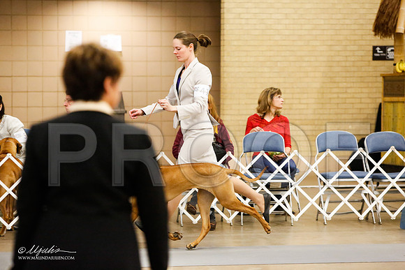 _JJ_8296-FWKCMar2015-HR3