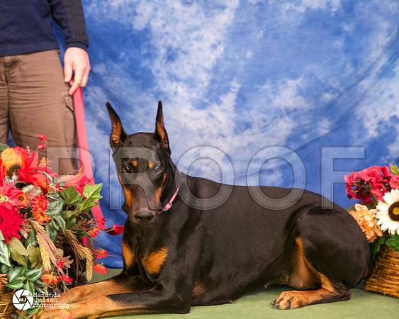 dobe-4332-BltnApr14-HR