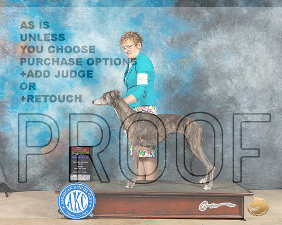 Greyhound #8 Fri WBBOWBOSMCh Judge Pat Trotter-MMJ_2899-Addison2022-HR3