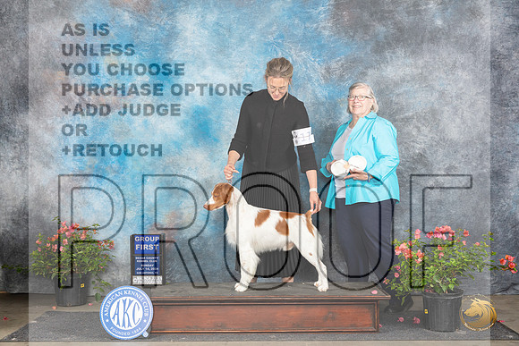 Brittany #17 Sun G1 Judge Victor Rosado__JP_6350_San Antonio_2024_HR3