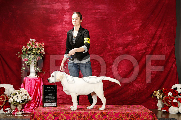 _ST_2736-BeltonJan2015IABCA-HR3