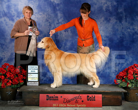 Vet-7411-WFOct2013-HR