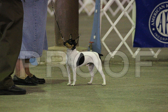 MJS_8836