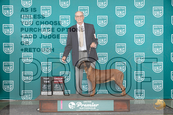 Bavaria Mountain Hound #683 Sun G2 Judge Lori Sargent__JP_3229_Premier_2024_HR3