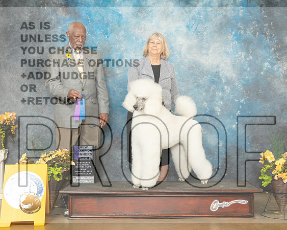 Poodle Std #14 Fri WBNCh Judge Eugene Blake-MMJ_9629-NWARK2022-HR3