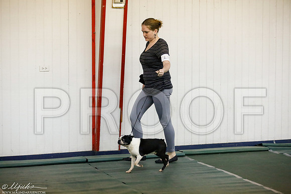 _JJ_3284-DentonMar2015-HR3