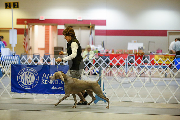 _JJ_6080-AmarilloSept2014-HR3