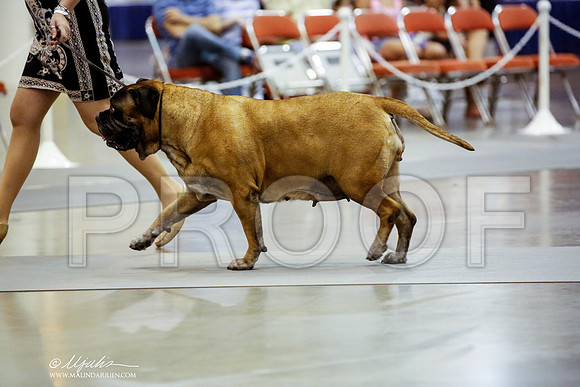 _JN_9087-DalJul2014-HR3