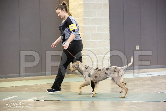 _JN_1347-BeltonJan2015-HR3