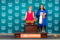 Dachshund Lonnghaired #166 Sat PBIS Judge Valerie Piltz