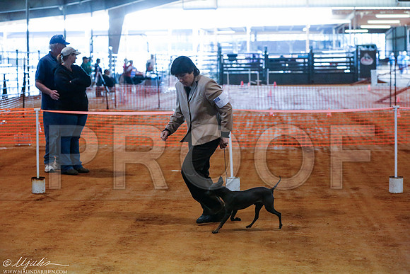 _RH_0695-MarshDec2014-HR