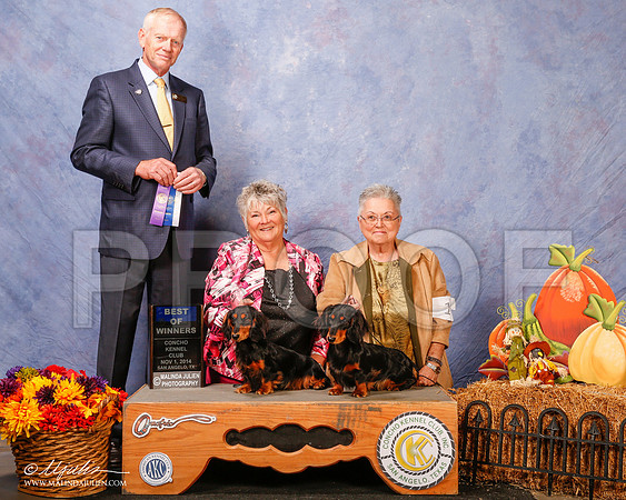 _CL_4496-2-SanAngelo2014-HR3