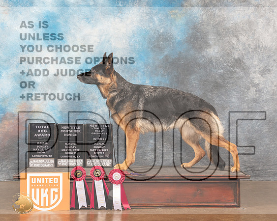 German Shepherd Dog #255MMJ_6114_Lngvw2022HR3