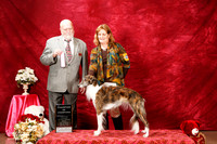 Silken Windhound Sat S2 Ch Jan Decker Judge Paul Bruneau