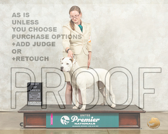 American Bulldog #863 Fri BOB Judge Sandra Kowalski__MJ_7984_Premier_2022_HR3