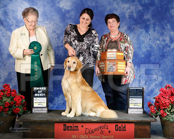 GRCABestVet-5483-WFOct2013-HR