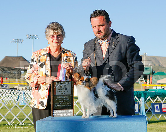 _ST_3625-2-AlamogordoOct2014-HR3