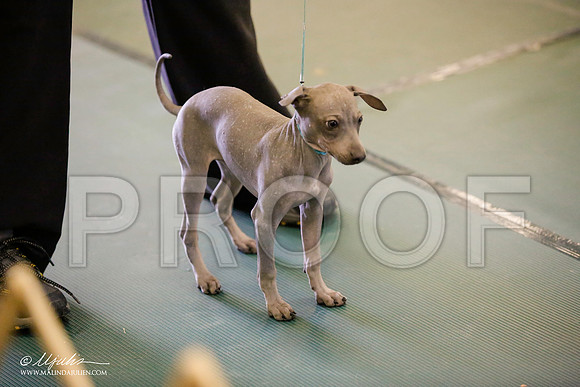 _JN_3325-BeltonJan2015-HR3