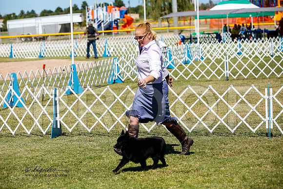 _JJ_3736-AlamogordoOct2014-HR3