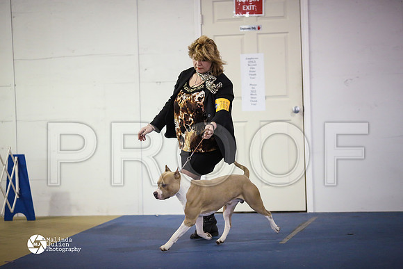 APBT-5472-HtoJan14-HR