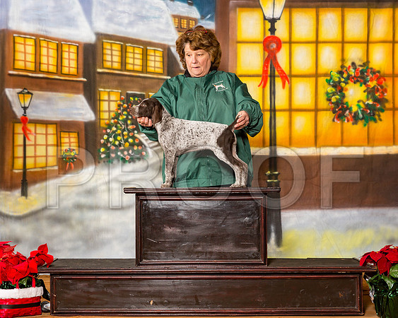 _ST_1519-MrshllDec2016©JulienLambertPhoto.com-HR3