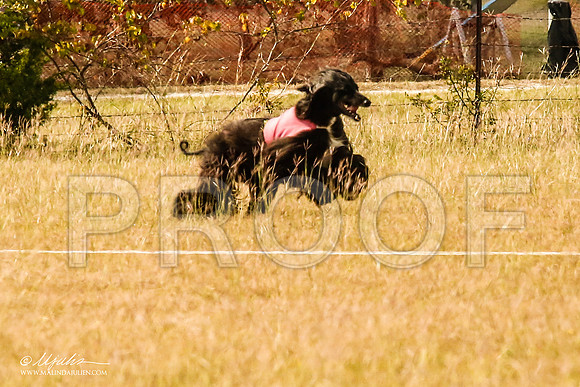 _MJ_5471-AfgBeltonOct2014-HR3