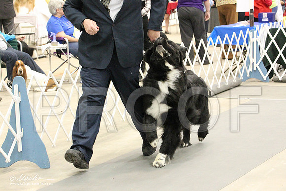 IMG_8744-Abilene2011-HR3