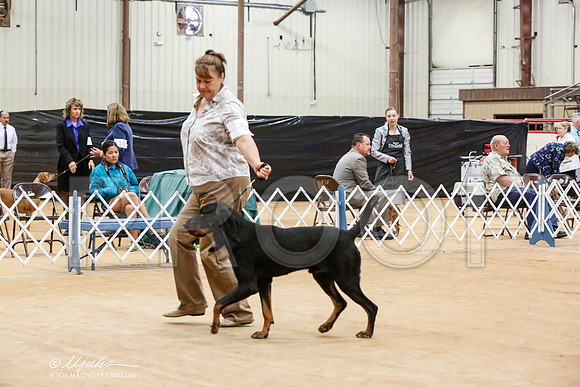 _JN_6279-TxArJun2014-HR3