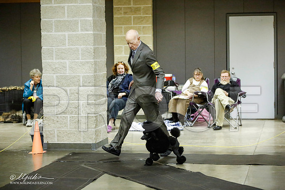 _JJ_5901-BeltonJan2015IABCA-HR3