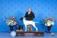 Pointer #6 SUN WB BOW Judge Sandra Lex
