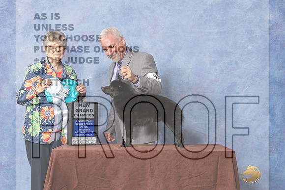 #61 SDGCh  Judge Doris Cozart-_CL_8973_Schip_2022-HR3