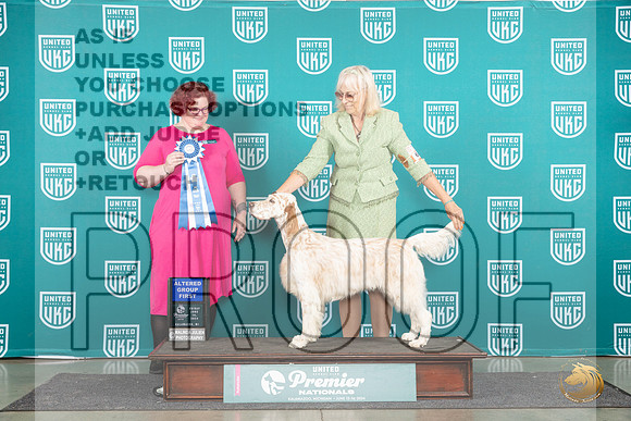 English Setter #609 Fri AG1 Judge Tracy Karsjens__JP_1800_Premier_2024_HR3