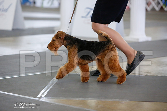 _JJ_2220-DallasJul2014-HR3