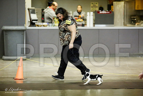 _JJ_5984-BeltonJan2015IABCA-HR3