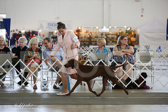 _JJ_2804-DallasJul2014-HR3