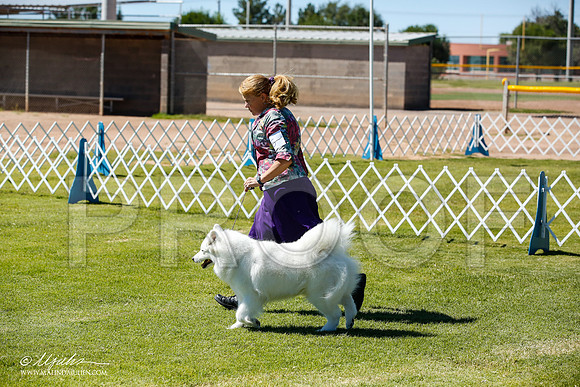 _JN_6824-AlamogordoOct2014-HR3