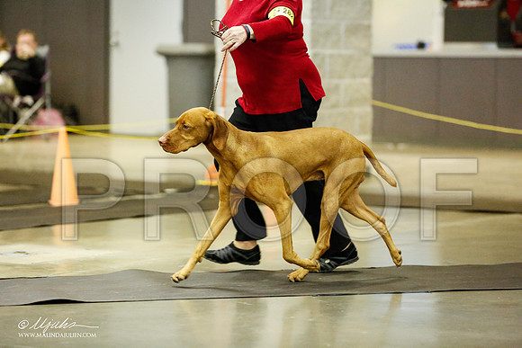 _RH_1188-BeltonJan2015IABCA-HR3