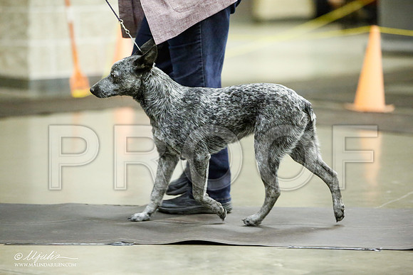 _JJ_6089-BeltonJan2015IABCA-HR3