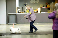 Havanese Ring Sat